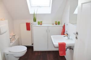 Eldersburg, MD toilet installation