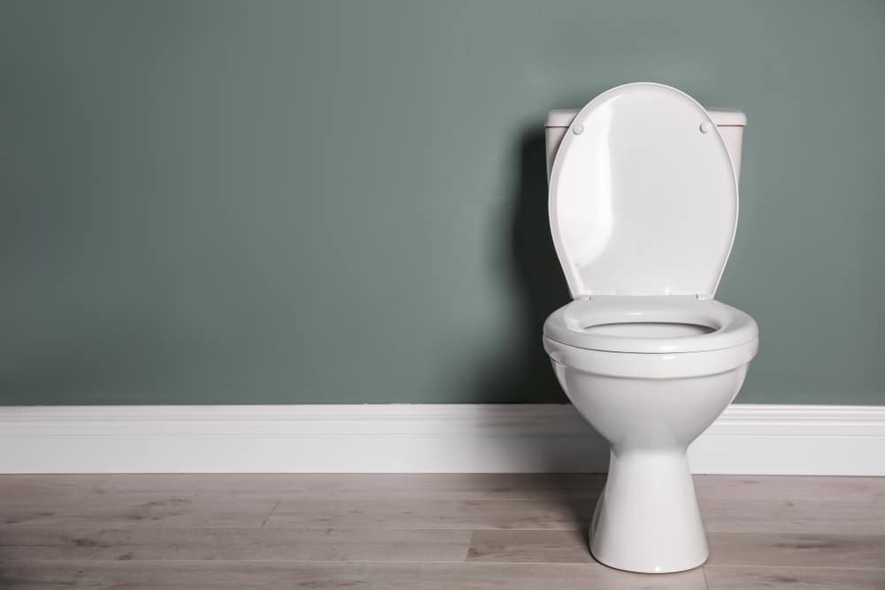 Never Flush these 5 things down your toilet