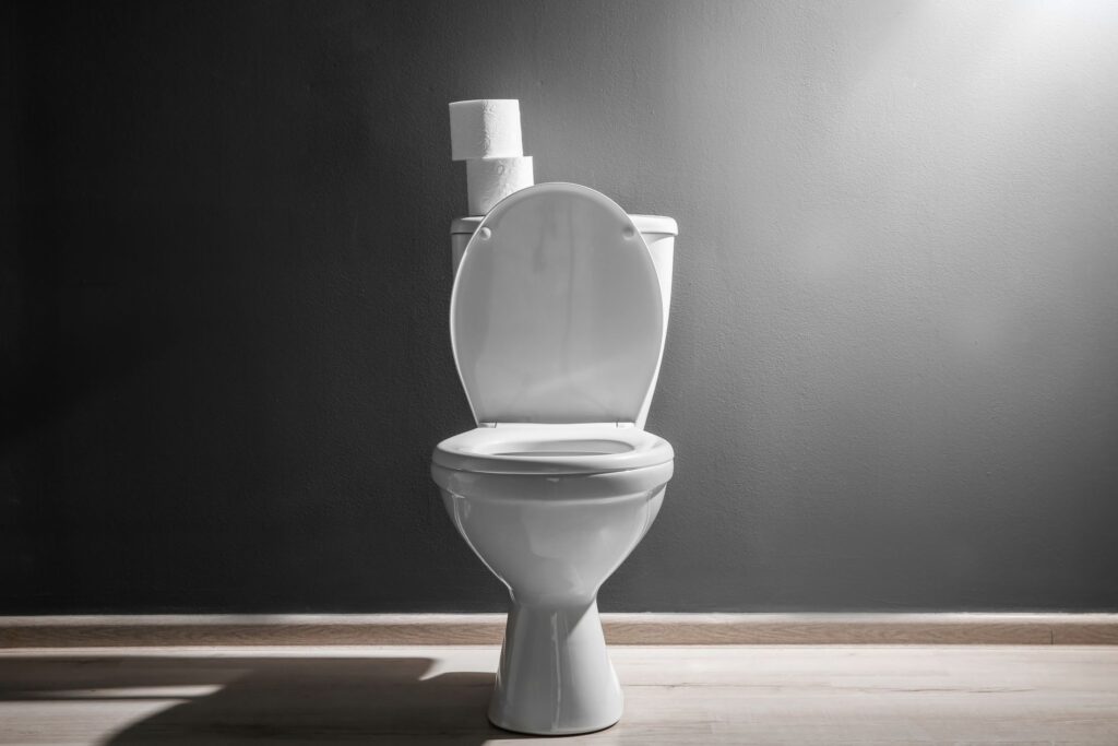 What To Look For In Your New Toilet | Michael Runk Plumbing And Heating