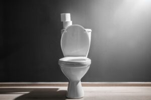 What to Look for In Your New Toilet