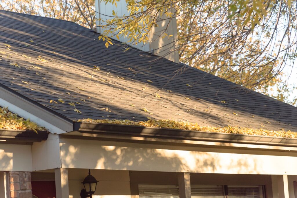 Preventing Outside Drainage From Getting Clogged | Michael Runk ...