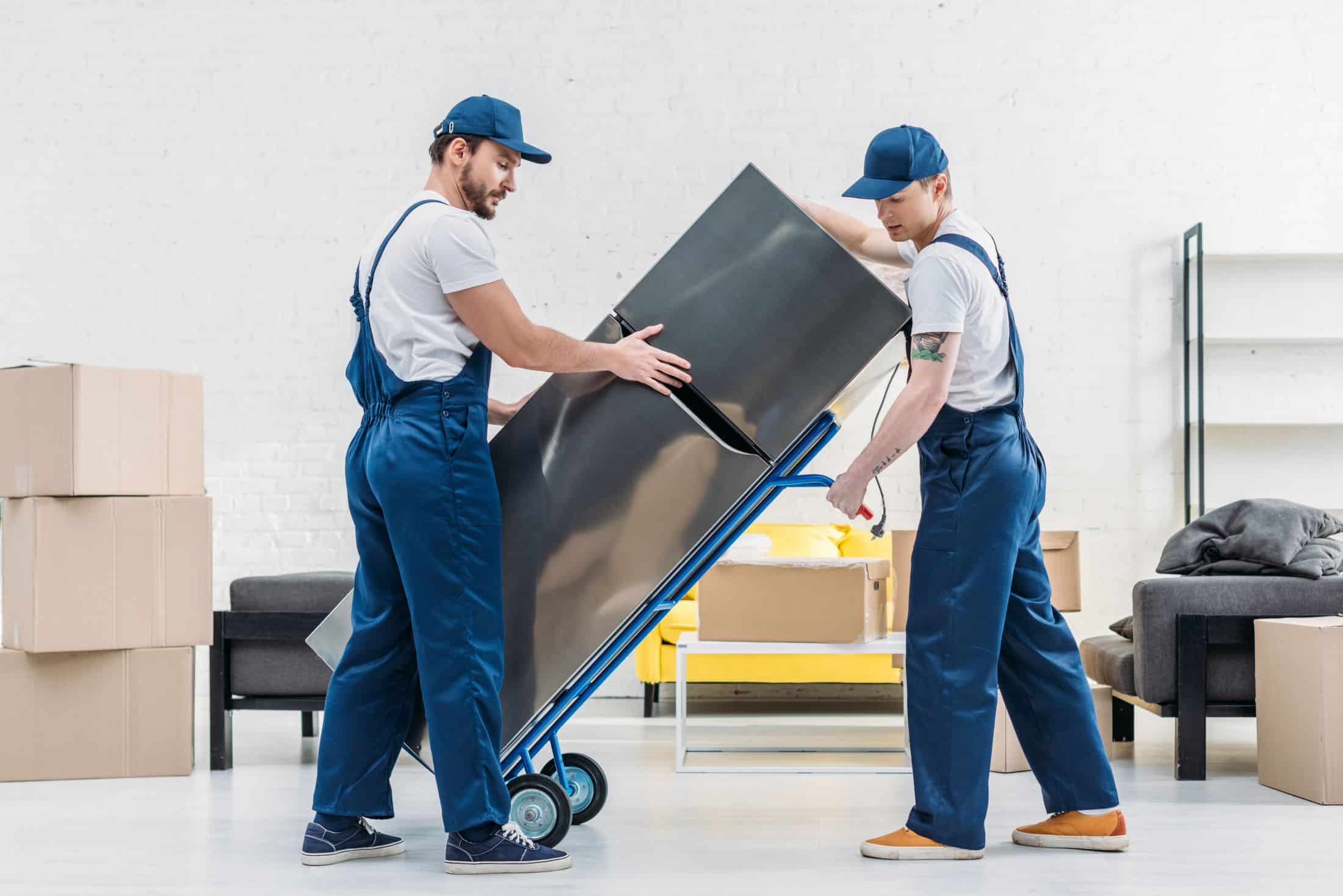 Professional Plumber of Big Box Appliances